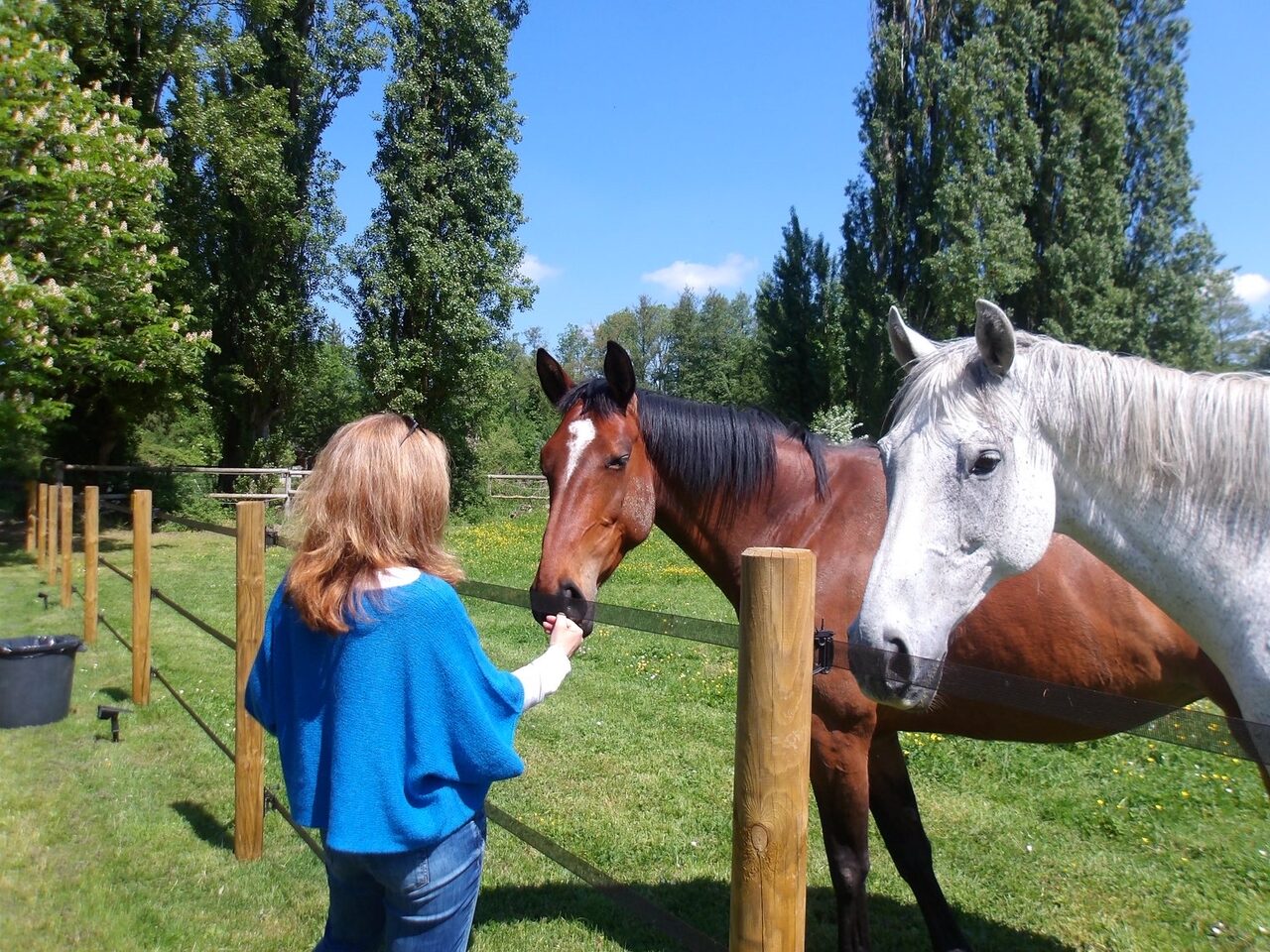 Femme caressant un cheval dans le pré voisin du Jardin de Loulou
