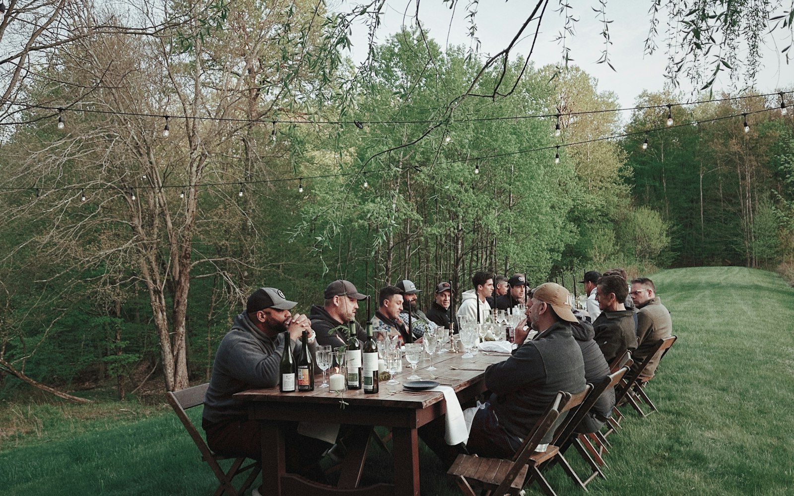Sentier en forêt baigné de lumière